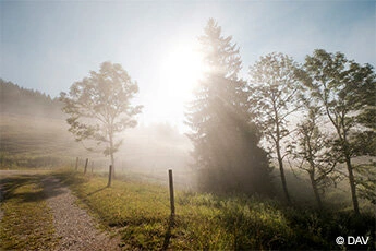 Dekoratives Bild von Landschaft mit Bäumen